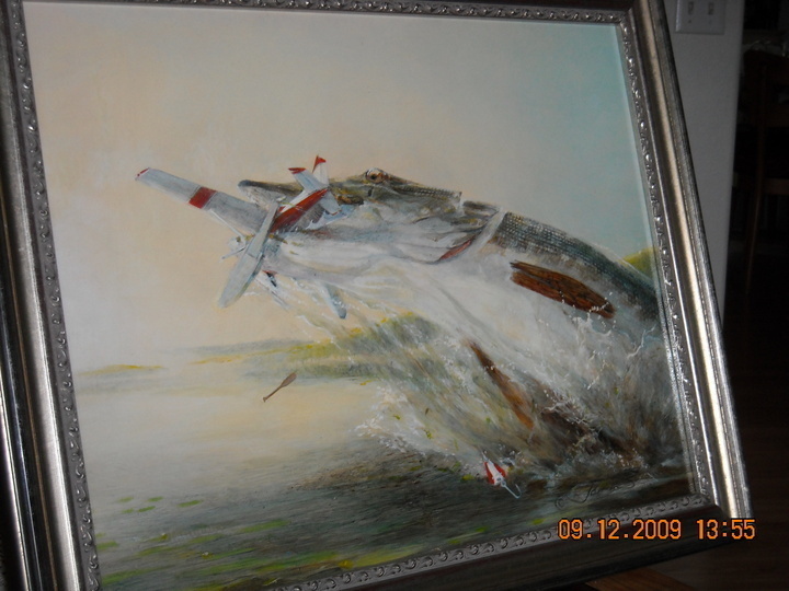 Alaska's List "Daredevil Flying" by Sandy Jamieson