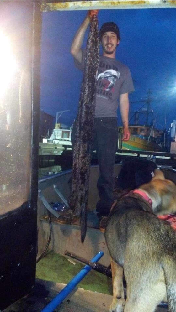 Alaska's List Sea Otter & Harbor Seal Fur For Sale